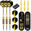ZF05C Brass steel tip dart set with case 20g/24g