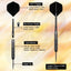 ZB02-steel pointed dart 30g  black 2BA thread professional competition dart aluminum shaft PET tail wing complete set of accessories