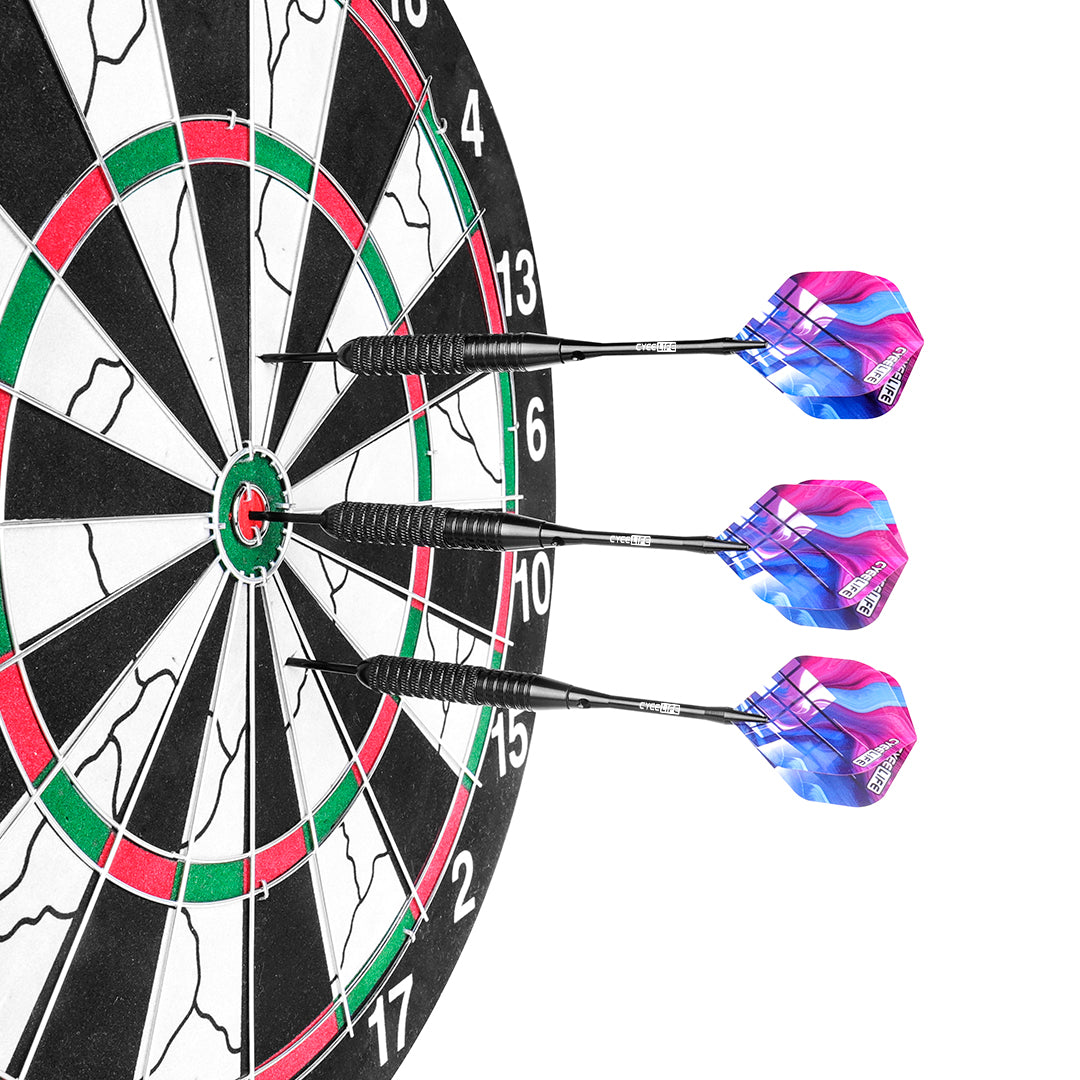 ZB02 Steel tip DARTS SET 28G with plastic dart case and Extra accessories （Dart barrel 26g )