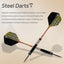 ZF10C 22g Brass Steel Tip Darts Set of 3, 3 Aluminum + 3 PC Shafts, 6 PTE Flights, Case, 169mm